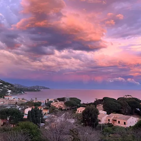 T2 Sea View In Saint-Clair - Rated 3 Apartment Le Lavandou Exterior photo